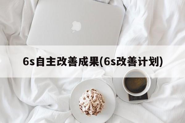 6s自主改善成果(6s改善计划)